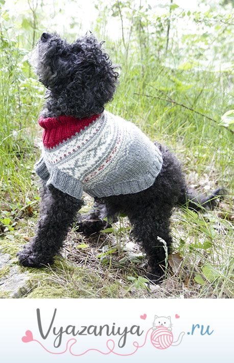 Narvik Woof